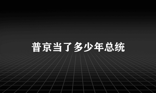 普京当了多少年总统