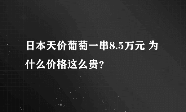 日本天价葡萄一串8.5万元 为什么价格这么贵？