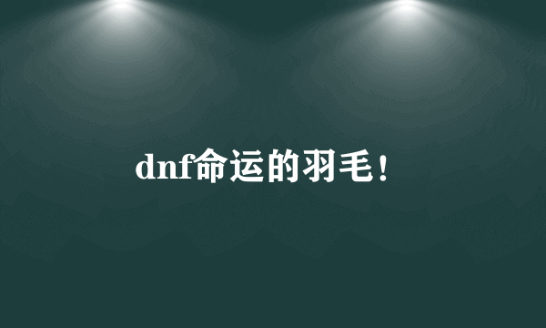 dnf命运的羽毛！