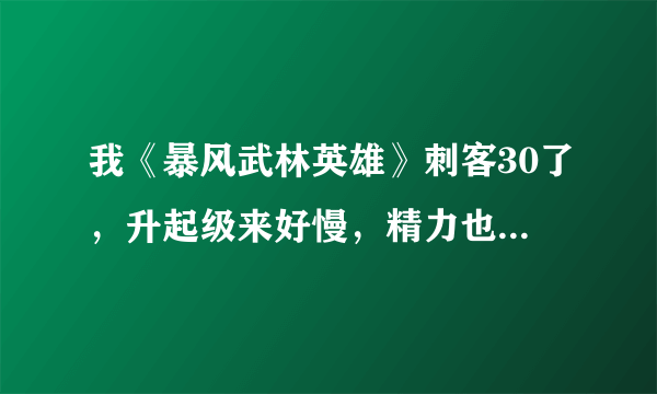 我《暴风武林英雄》刺客30了，升起级来好慢，精力也都用光了，怎样才能快速升级？好的再另加！！！！