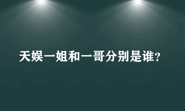 天娱一姐和一哥分别是谁？