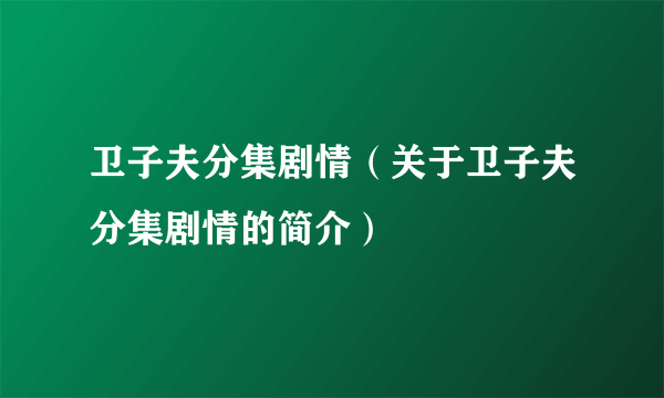 卫子夫分集剧情（关于卫子夫分集剧情的简介）