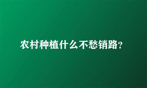 农村种植什么不愁销路？