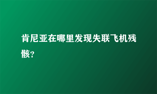 肯尼亚在哪里发现失联飞机残骸？