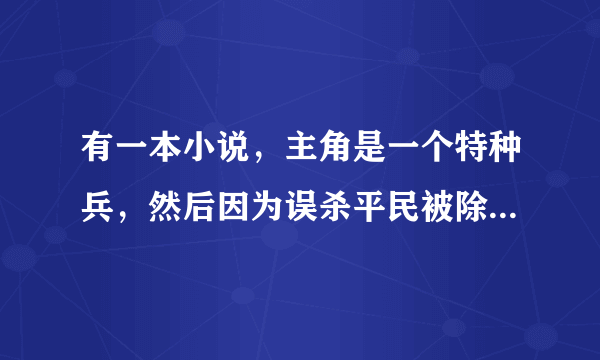 有一本小说，主角是一个特种兵，然后因为误杀平民被除名了，后来做了一个保镖，小说叫什么名字啊