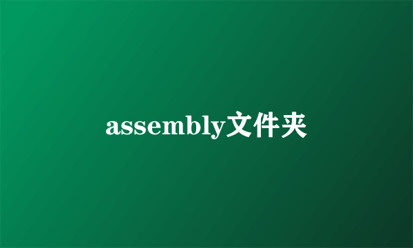 assembly文件夹