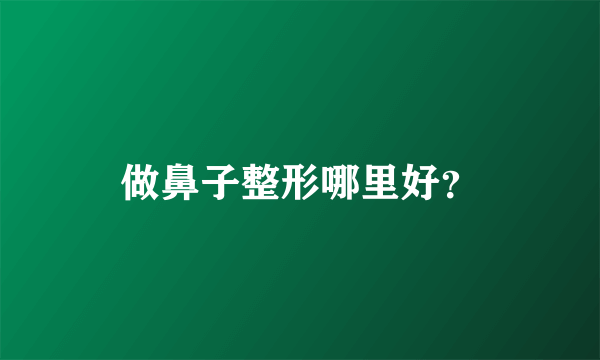 做鼻子整形哪里好？