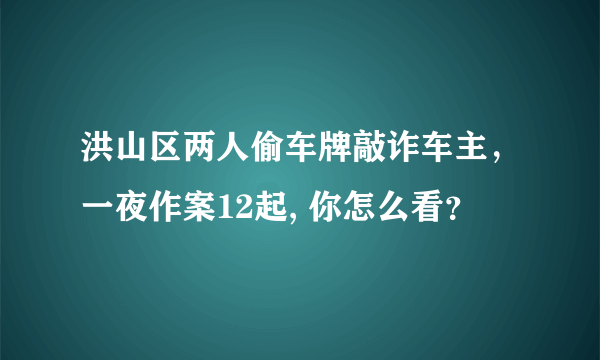 洪山区两人偷车牌敲诈车主，一夜作案12起, 你怎么看？