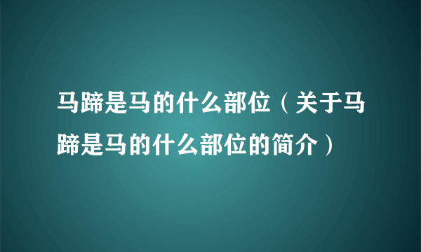 马蹄是马的什么部位（关于马蹄是马的什么部位的简介）