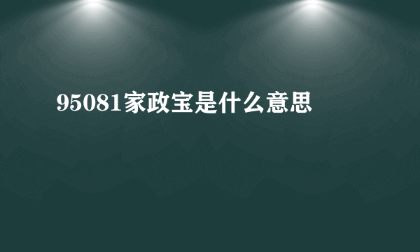 95081家政宝是什么意思