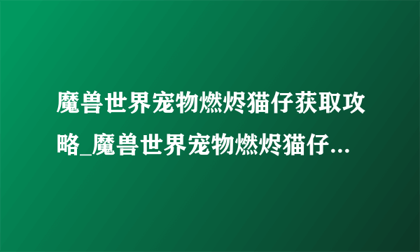 魔兽世界宠物燃烬猫仔获取攻略_魔兽世界宠物燃烬猫仔怎么获取_飞外