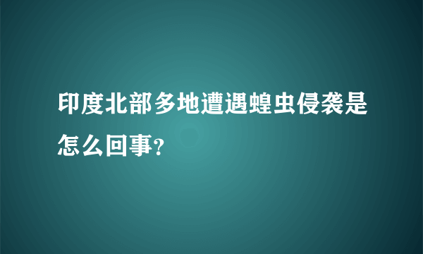 印度北部多地遭遇蝗虫侵袭是怎么回事？