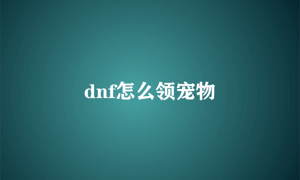 dnf怎么领宠物