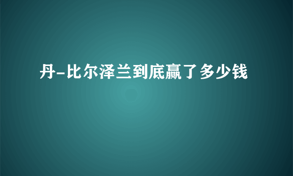 丹-比尔泽兰到底赢了多少钱