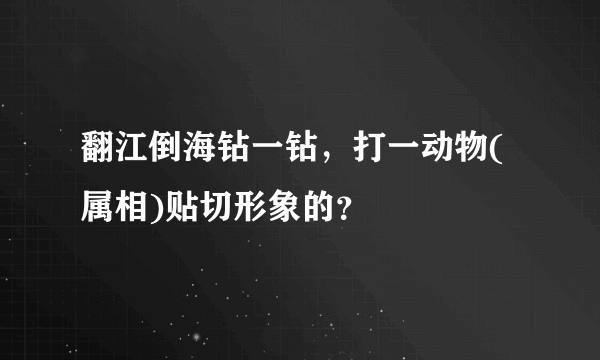 翻江倒海钻一钻，打一动物(属相)贴切形象的？