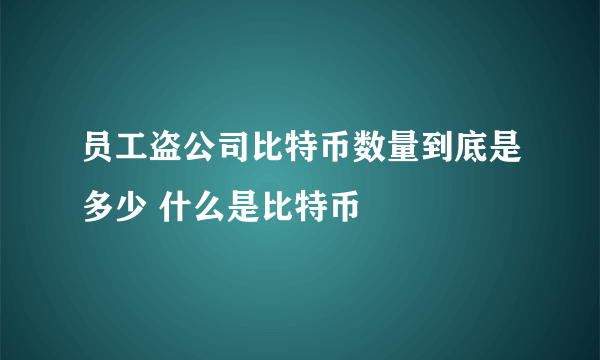 员工盗公司比特币数量到底是多少 什么是比特币