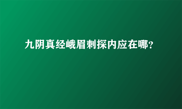 九阴真经峨眉刺探内应在哪？