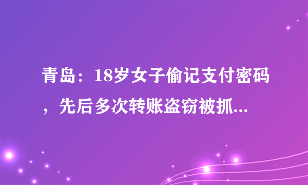 青岛：18岁女子偷记支付密码，先后多次转账盗窃被抓获, 你怎么看？