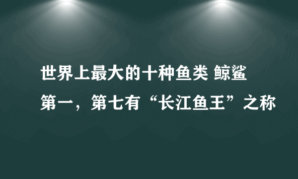 世界上最大的十种鱼类 鲸鲨第一，第七有“长江鱼王”之称