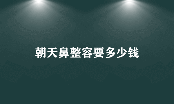 朝天鼻整容要多少钱