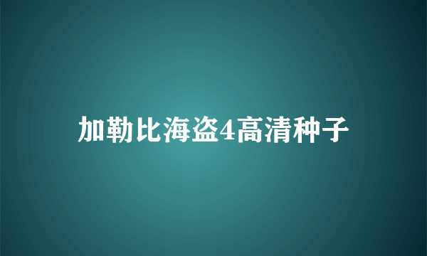 加勒比海盗4高清种子