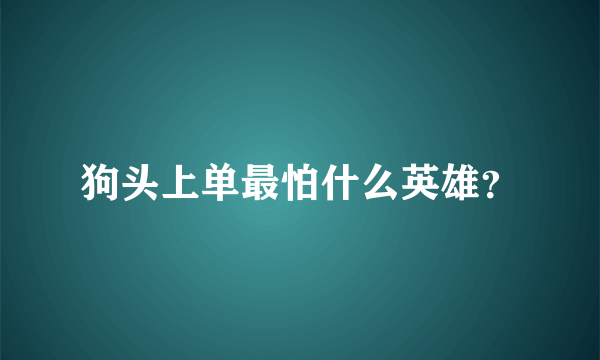 狗头上单最怕什么英雄？