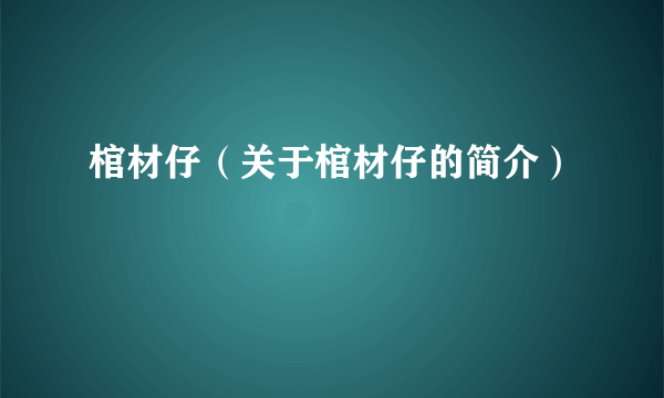 棺材仔（关于棺材仔的简介）