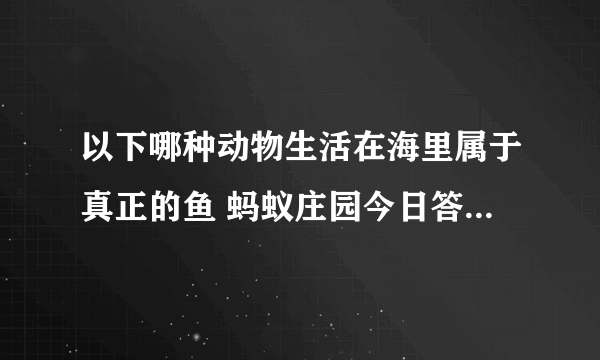 以下哪种动物生活在海里属于真正的鱼 蚂蚁庄园今日答案6月2日