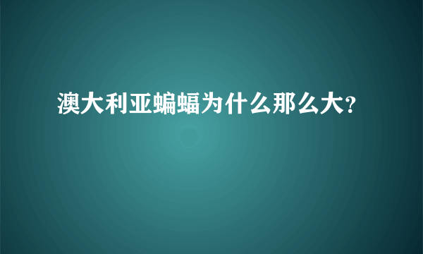 澳大利亚蝙蝠为什么那么大？