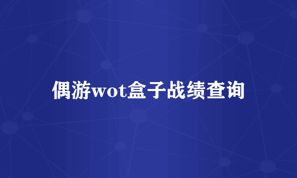 偶游wot盒子战绩查询