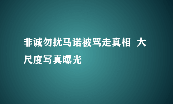 非诚勿扰马诺被骂走真相  大尺度写真曝光