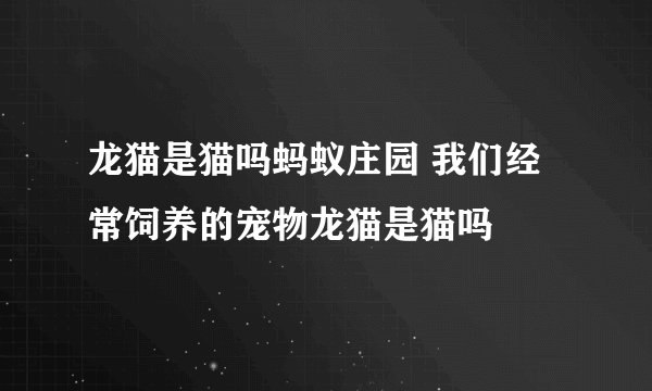 龙猫是猫吗蚂蚁庄园 我们经常饲养的宠物龙猫是猫吗