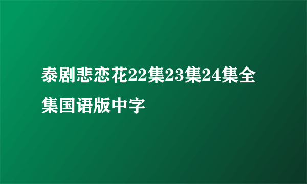 泰剧悲恋花22集23集24集全集国语版中字