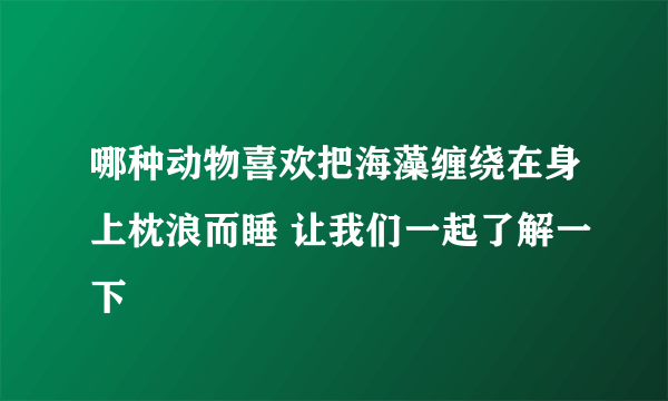 哪种动物喜欢把海藻缠绕在身上枕浪而睡 让我们一起了解一下