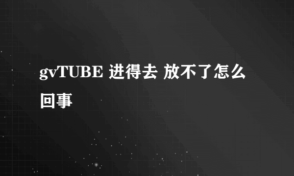 gvTUBE 进得去 放不了怎么回事