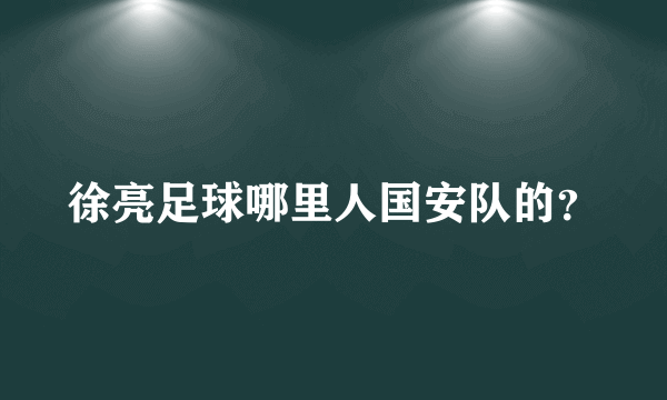 徐亮足球哪里人国安队的？