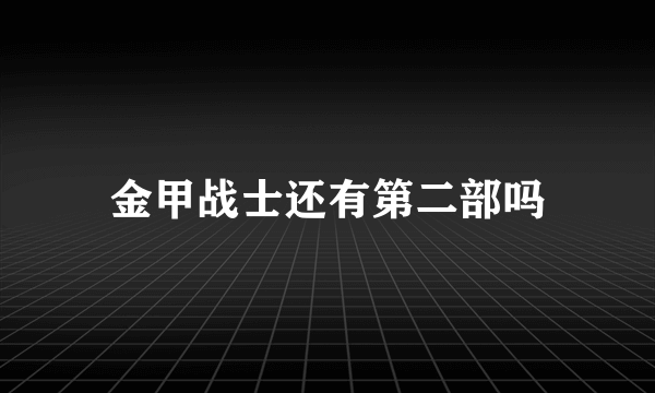 金甲战士还有第二部吗