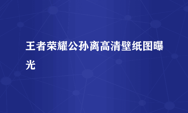 王者荣耀公孙离高清壁纸图曝光