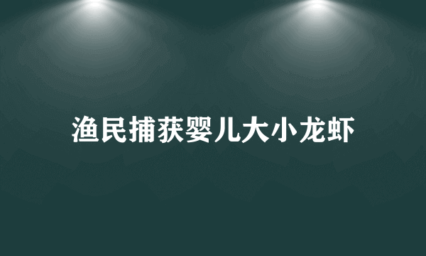 渔民捕获婴儿大小龙虾