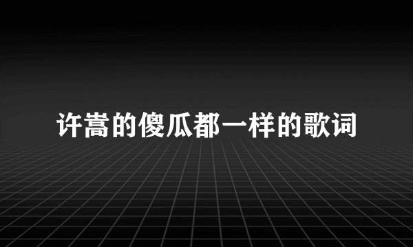 许嵩的傻瓜都一样的歌词