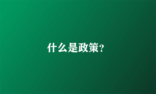 什么是政策？