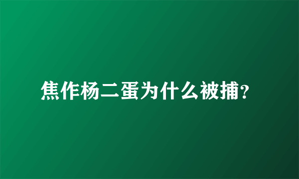 焦作杨二蛋为什么被捕？