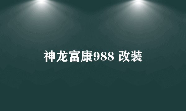 神龙富康988 改装