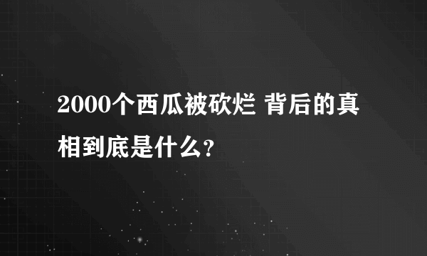 2000个西瓜被砍烂 背后的真相到底是什么？