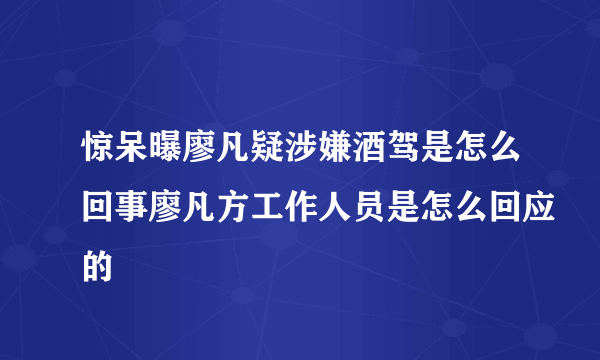 惊呆曝廖凡疑涉嫌酒驾是怎么回事廖凡方工作人员是怎么回应的