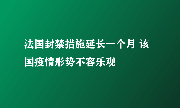 法国封禁措施延长一个月 该国疫情形势不容乐观