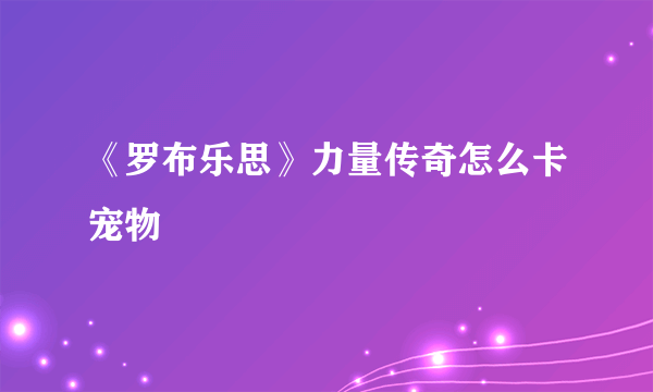 《罗布乐思》力量传奇怎么卡宠物