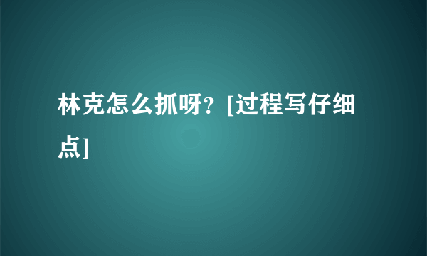 林克怎么抓呀？[过程写仔细点]