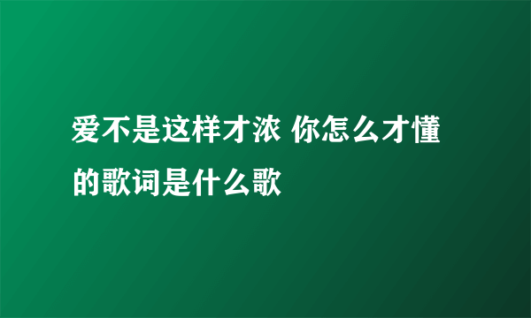 爱不是这样才浓 你怎么才懂的歌词是什么歌