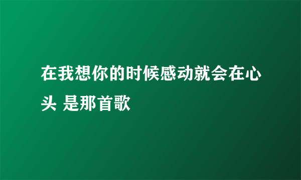 在我想你的时候感动就会在心头 是那首歌